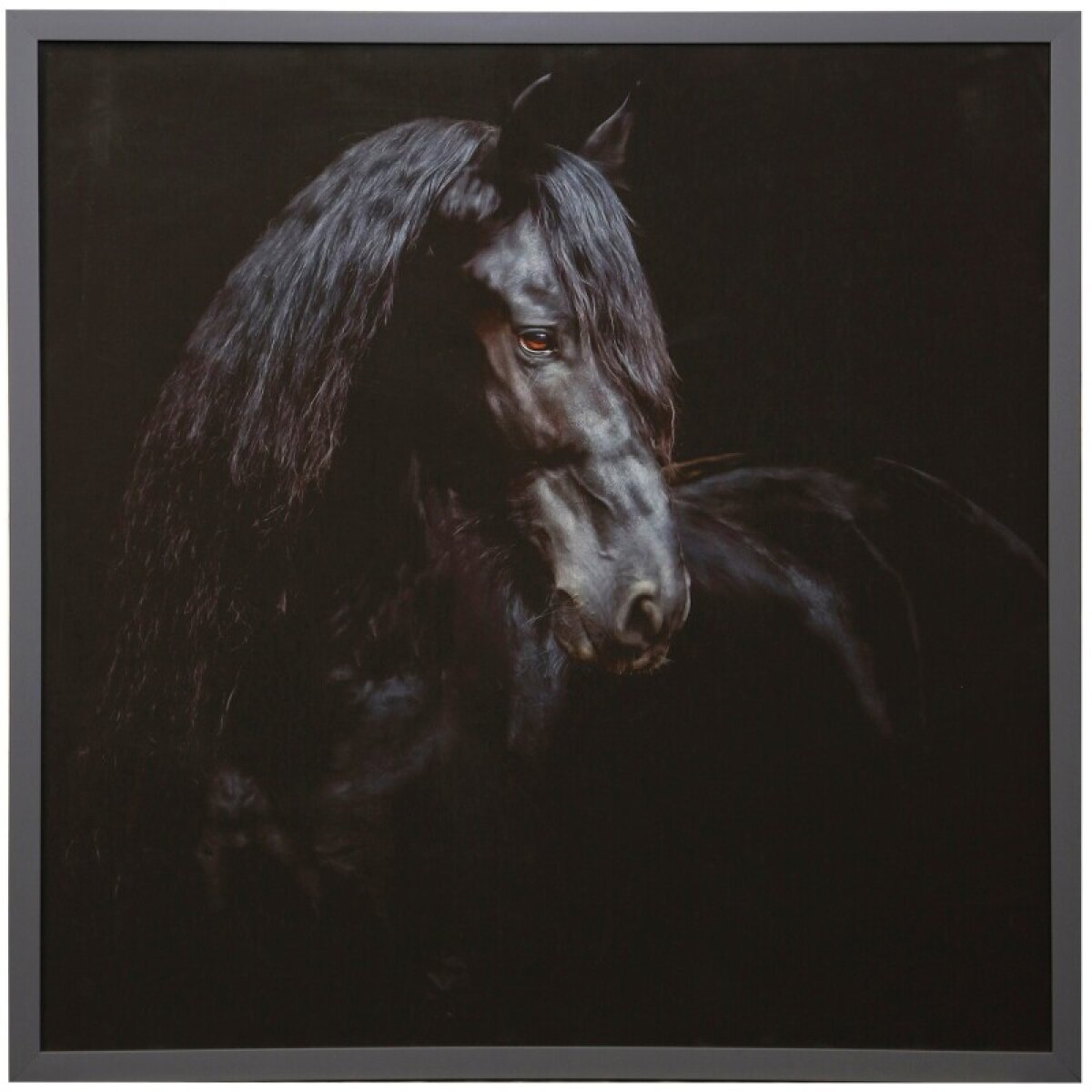 6d838ece07e351de1723a7799cae41c9 Black Horse Manufactured Canvas - Image 1