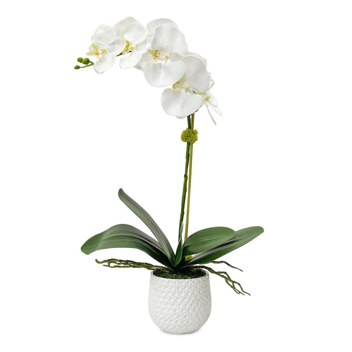6e2bfd3d4ece9b3725bbbc5ca99535db Cami Orchid - Image 1