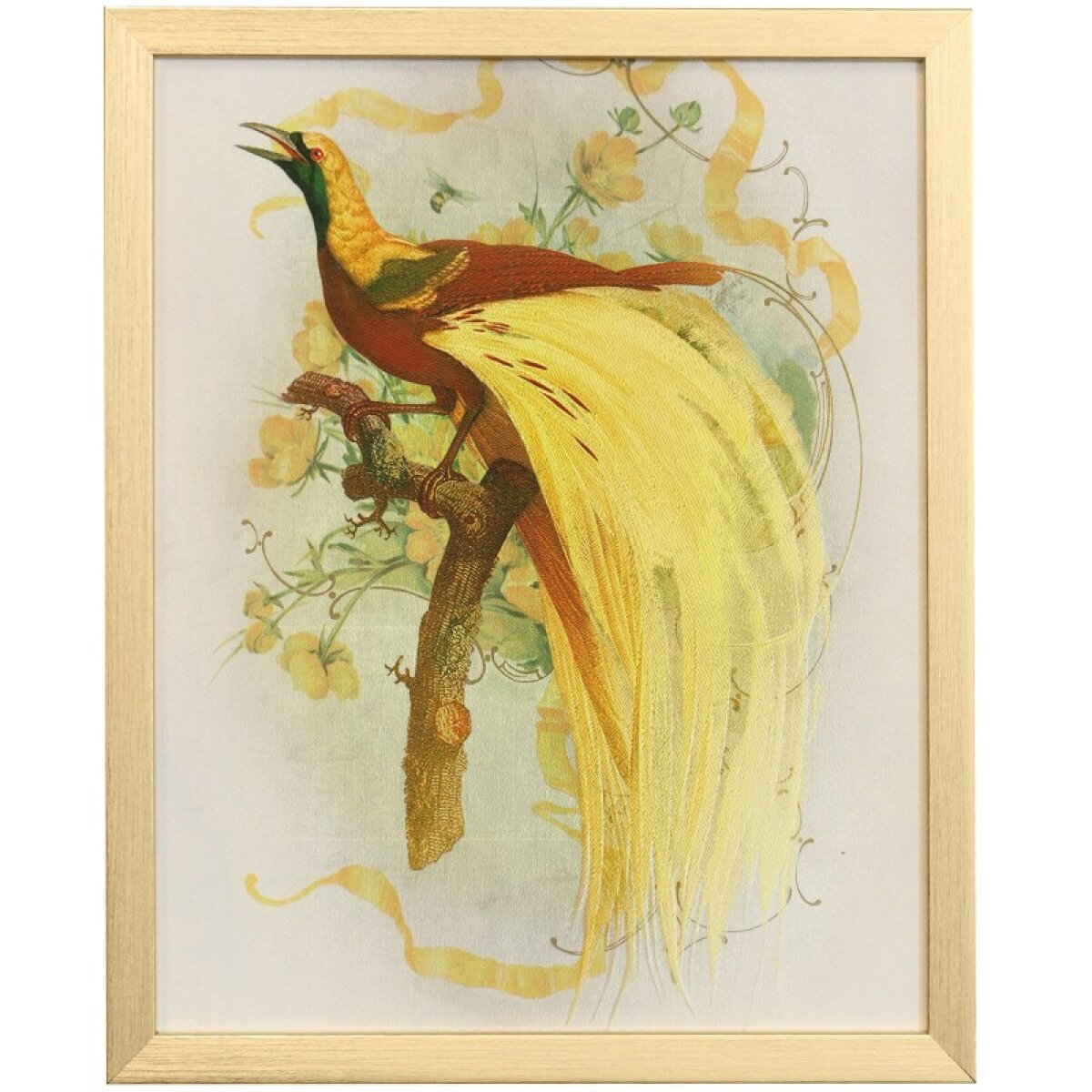 6fddd2ef34ae82318267bacc4cc0fe04 Naturalist Archive Ix Tamara Day For Stylecraft Framed Print Under Glass - Image 1