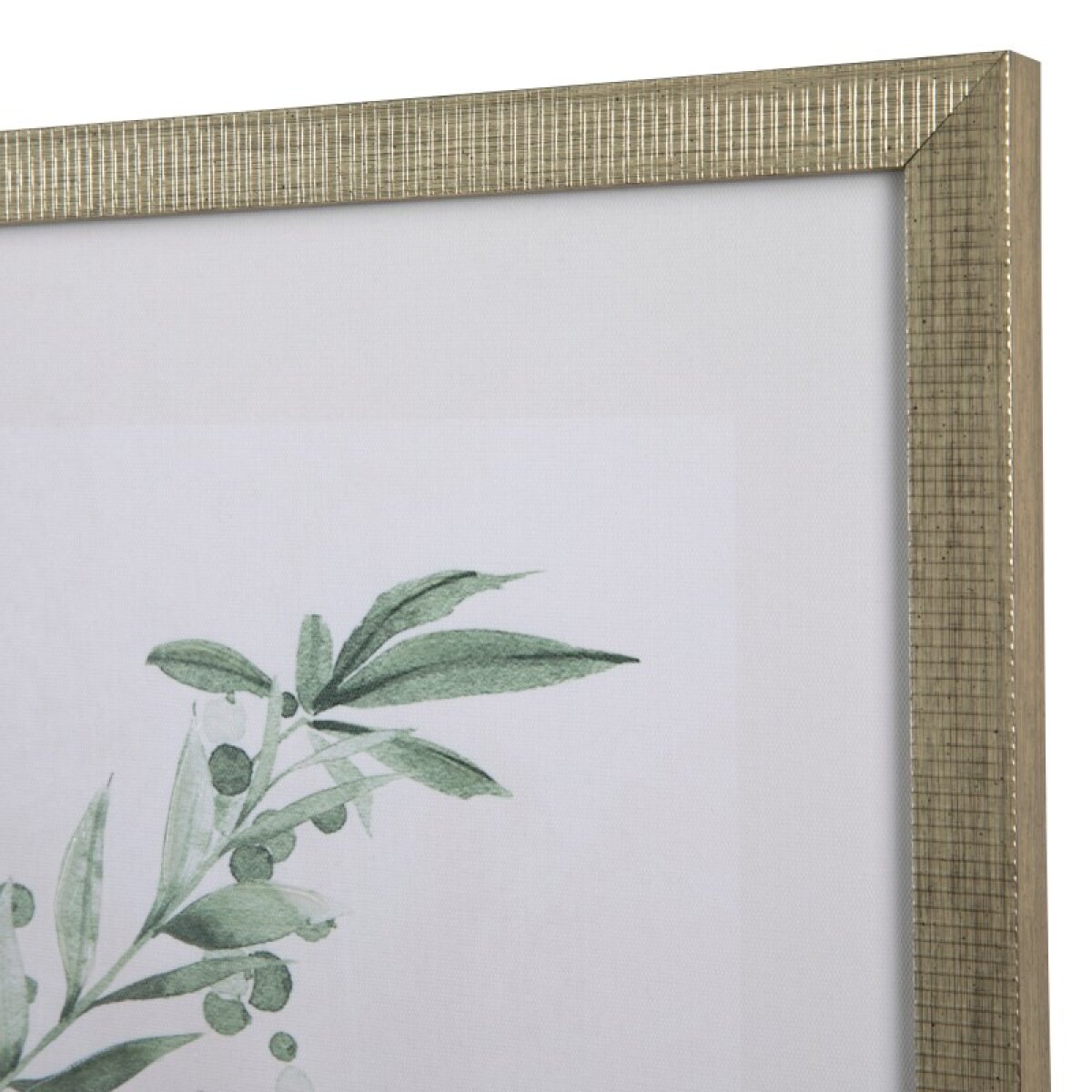 74cfb1e35687db62058e116189680970 Sage Foliage - Image 1