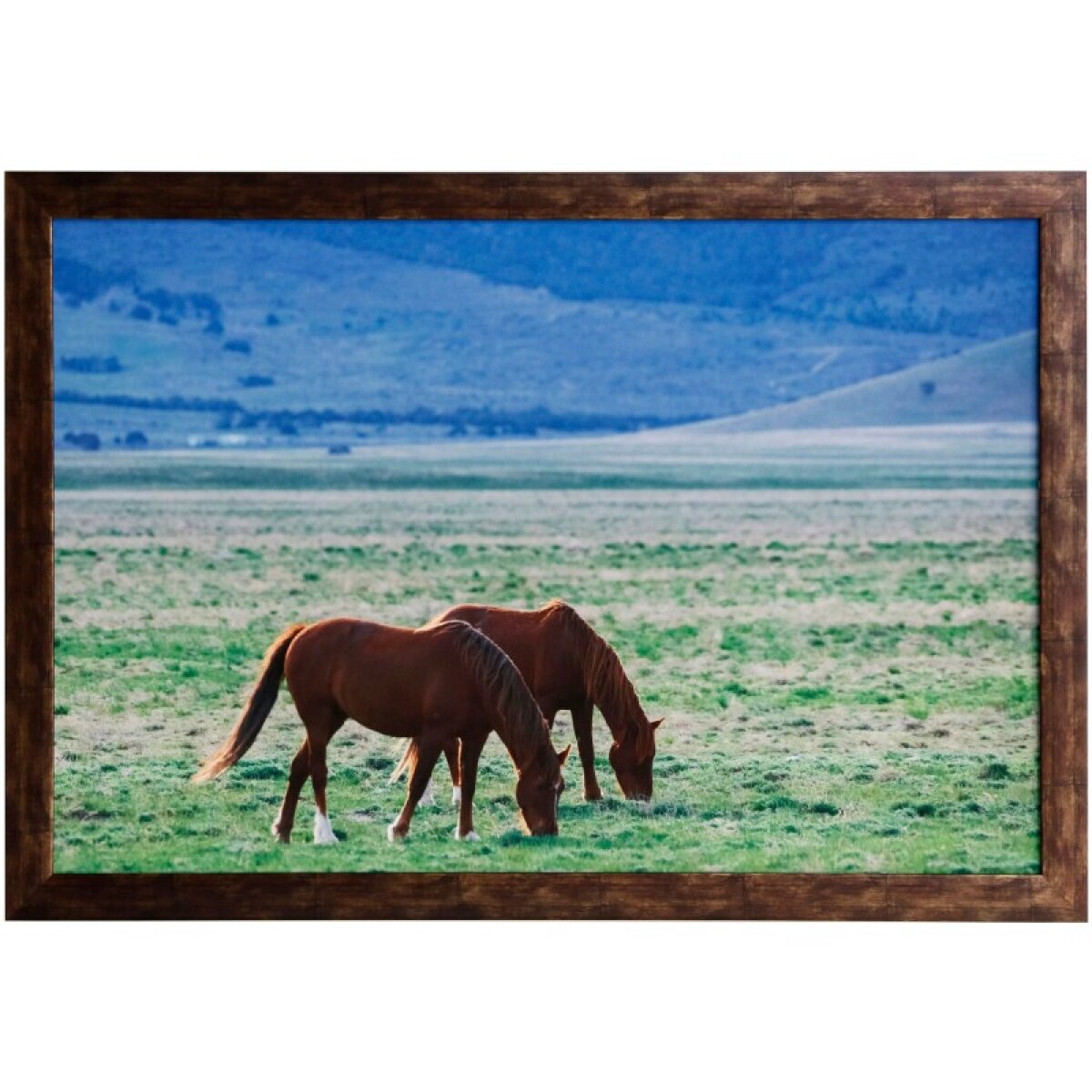 75d34180cccb2d74fd366789275fa6fd Framed Print Under Glass - Image 1