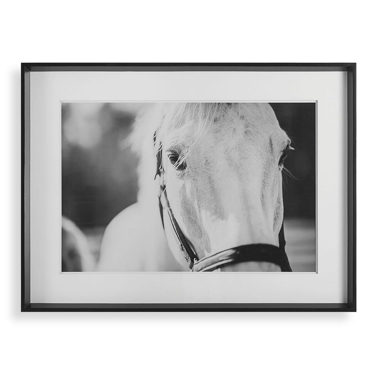 75f7ea05b9c885ff15eae8246f4b8c16 Eyes On The Prize Framed Print - Image 1