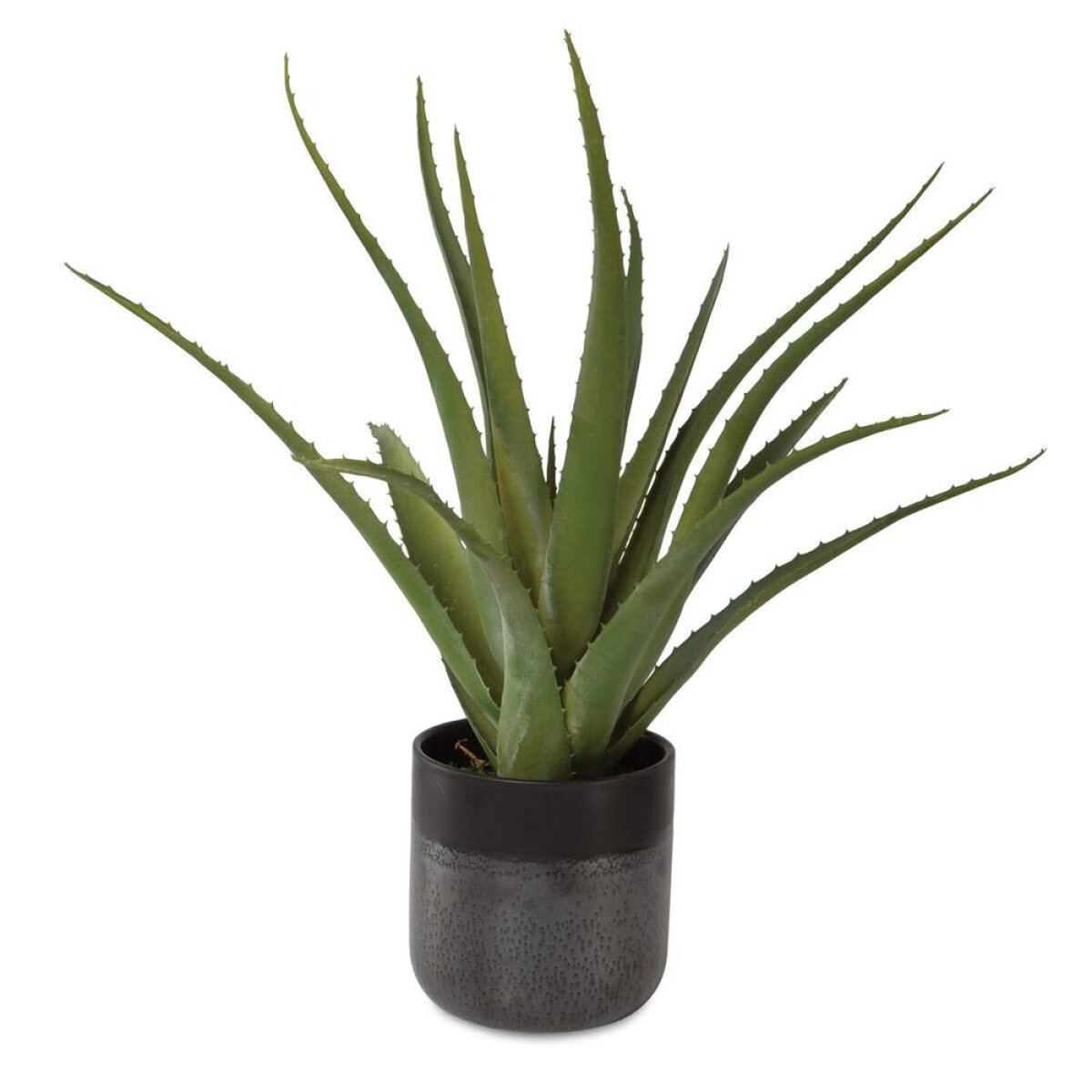 776f7a52de94594810f781257ecfa0fa Tucson Aloe Planter - Image 1