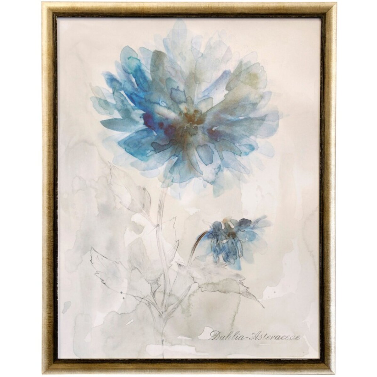 7868b4c9389a58bac9d1bcef2c37d2ea Blue Dahlia Framed Print Under Glass - Image 1