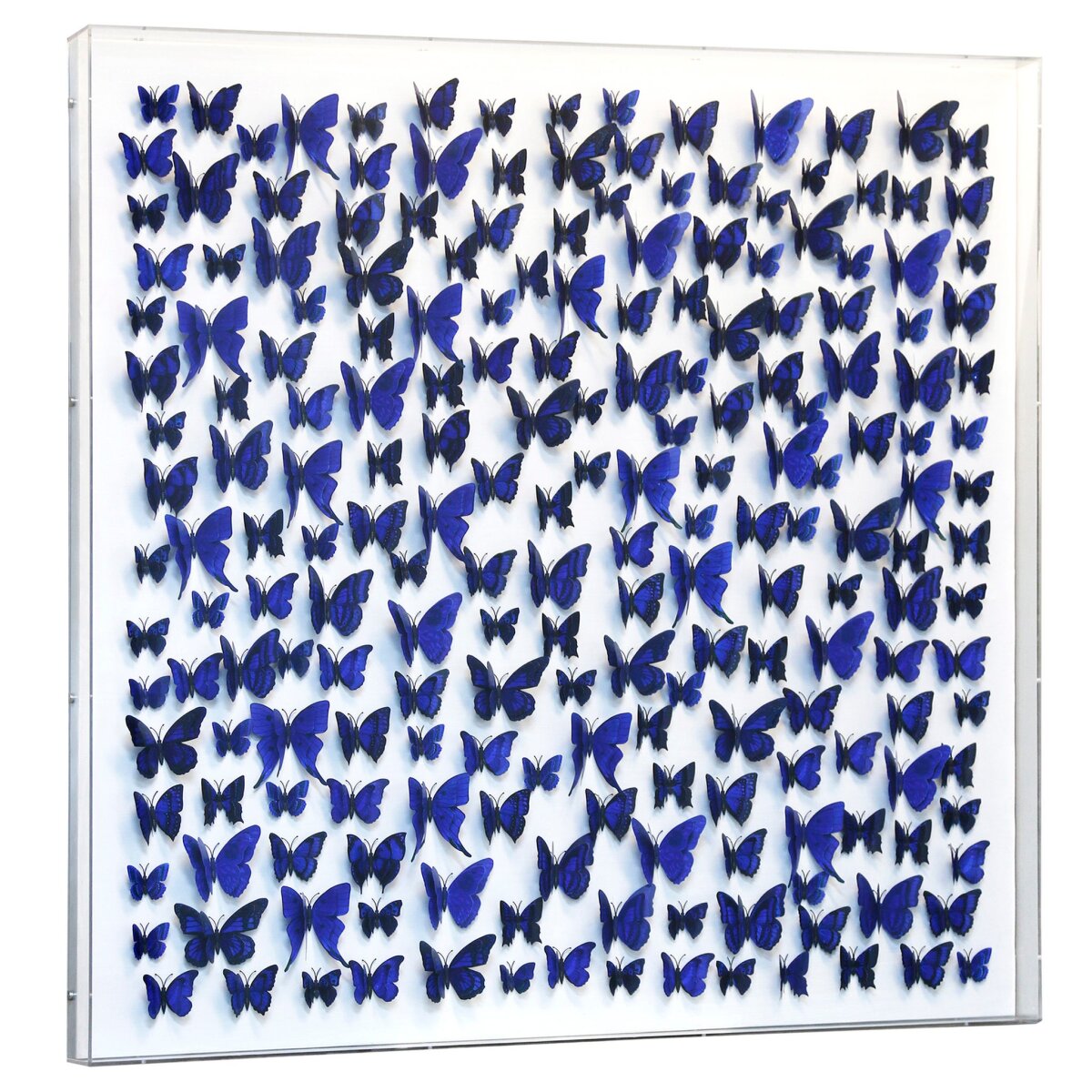 78c0b096200929b81fe9dbe1457fc6e0 Papillion Iv Framed Art | Pvc Butterfly Art | 3 Inch Acrylic Shadowbox - Image 1