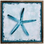 Perth Shells I Texture Framed Print