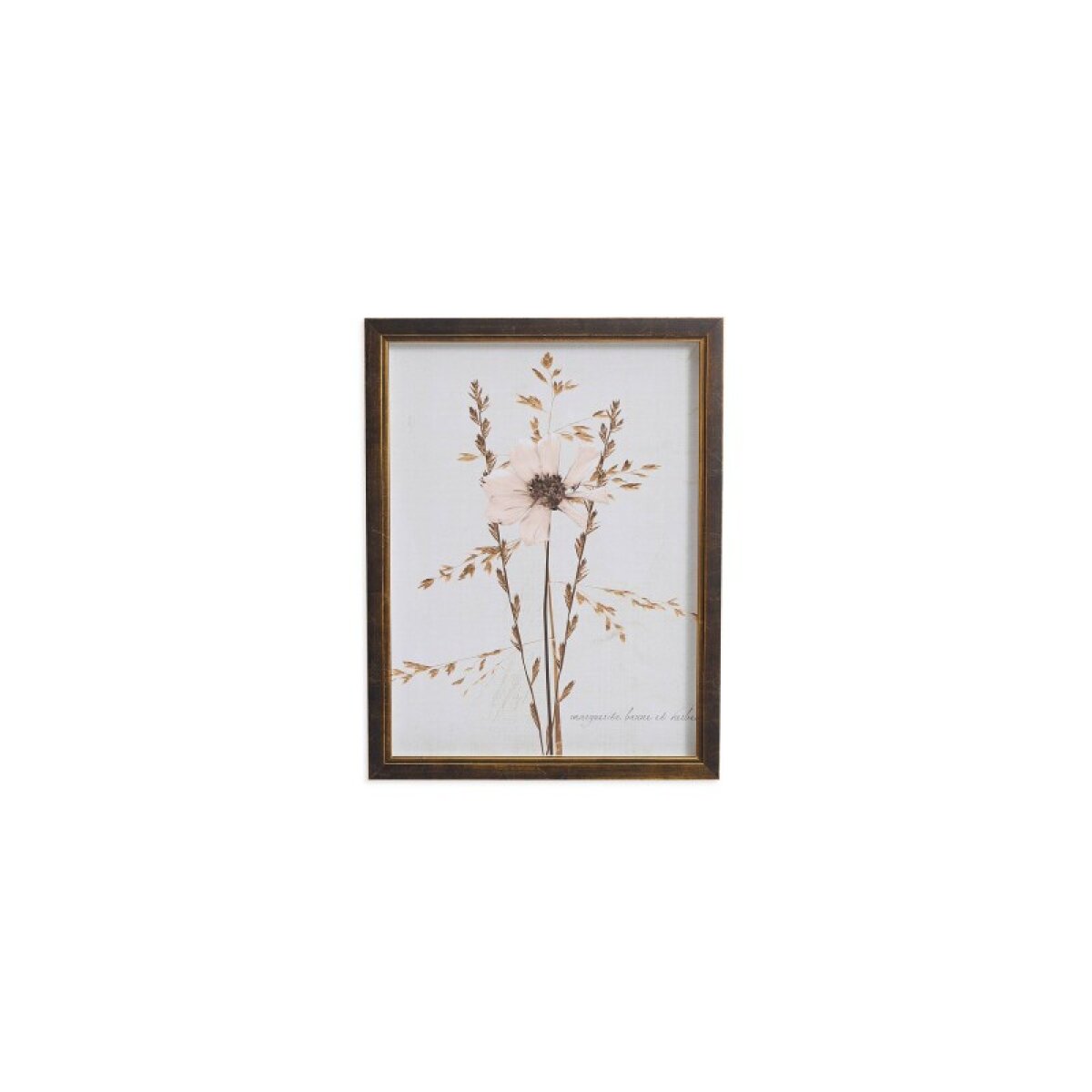 7ea39a65e50bbcde93c8b7dcd99b8409 Sepia Pressed Wildflower I - Image 1