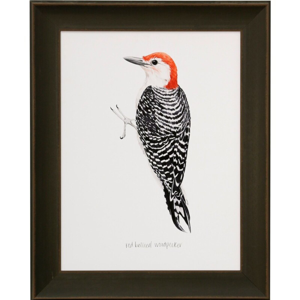 800f67e146be1cf2fddd478d9d1fa712 Woodpecker Ii Framed Print Under Glass - Image 1
