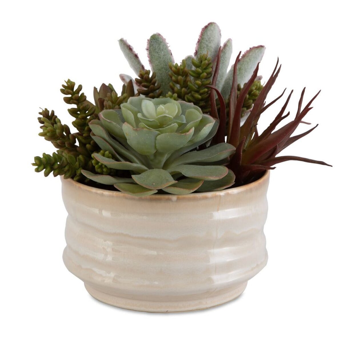 80d2be7bddcf2d73adc5bb86c80e187e Mesa Succulent Accent - Image 1