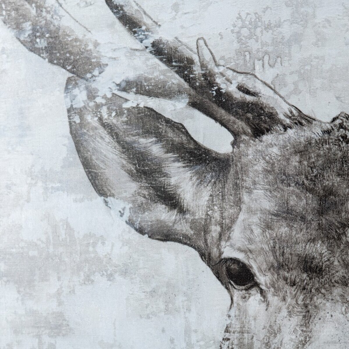 88414cba727c49717d175d6a3d5faa62 BUCK - Image 1