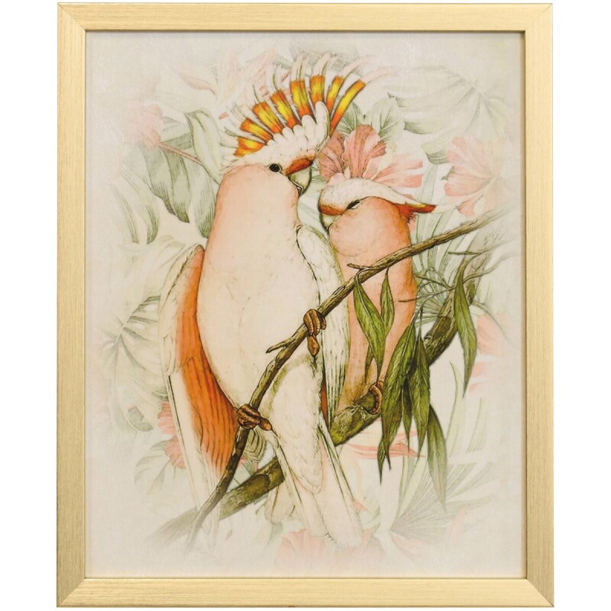 884680dae8906200cc19208b2ce027c1 Naturalist Archive Iii Tamara Day For Stylecraft Framed Print Under Glass - Image 1