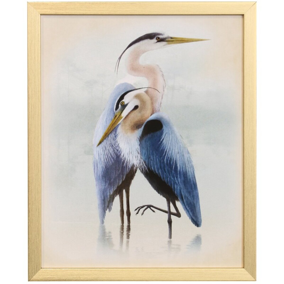 8b494b1736d11a81bf582787b833b6e5 Naturalist Archive Viii Tamara Day For Stylecraft Framed Print Under Glass 14in - Image 1