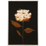 Fade To Fall Ii Framed Print Under Glass