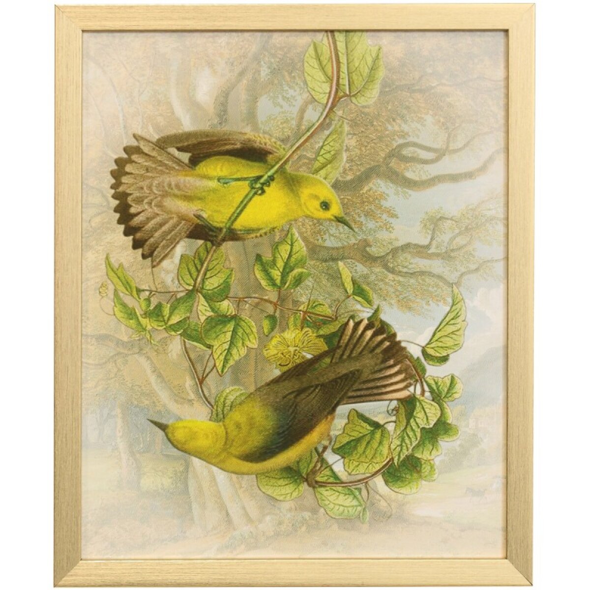 95c7875f499a427ee8a652eac7ded692 Naturalist Archive V Tamara Day For Stylecraft Framed Print Under Glass - Image 1