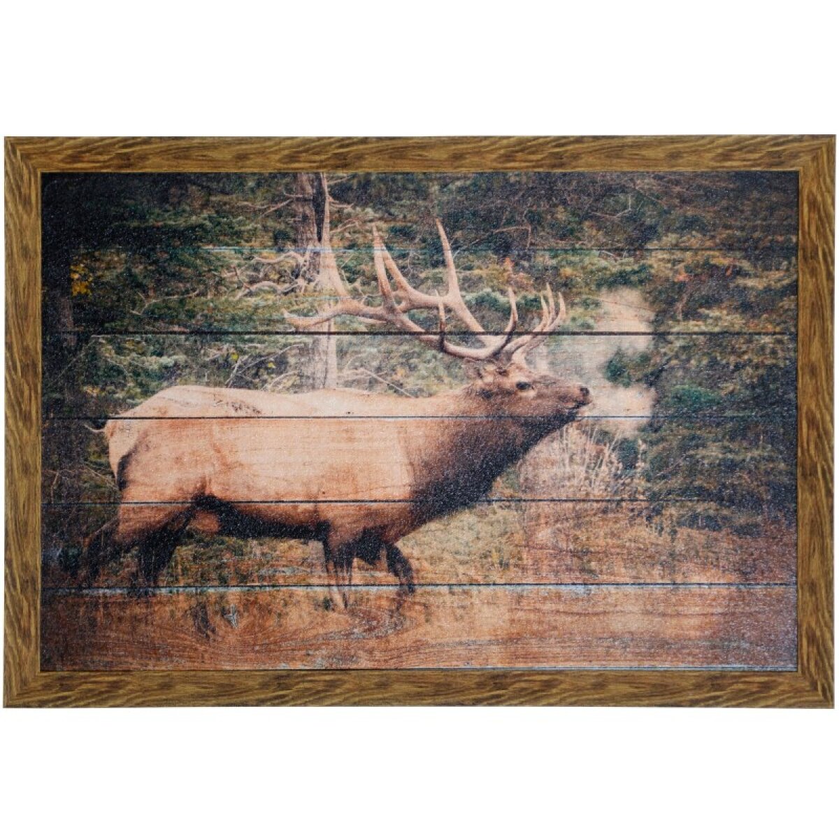 977babb176ade1d67ff595dd0b27800f Elk Woods Textured Framed Print - Image 1