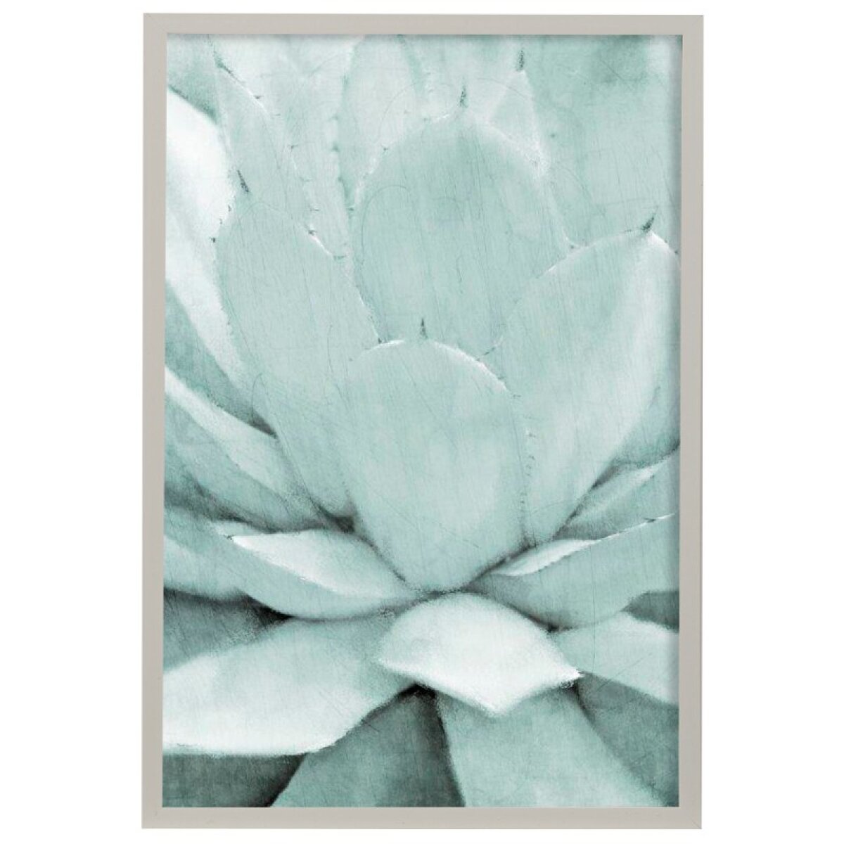 999134159bec72ad1cc59ab93a8e6efc Agave I Artist Print Faux Wood Frame Under Glass - Image 1