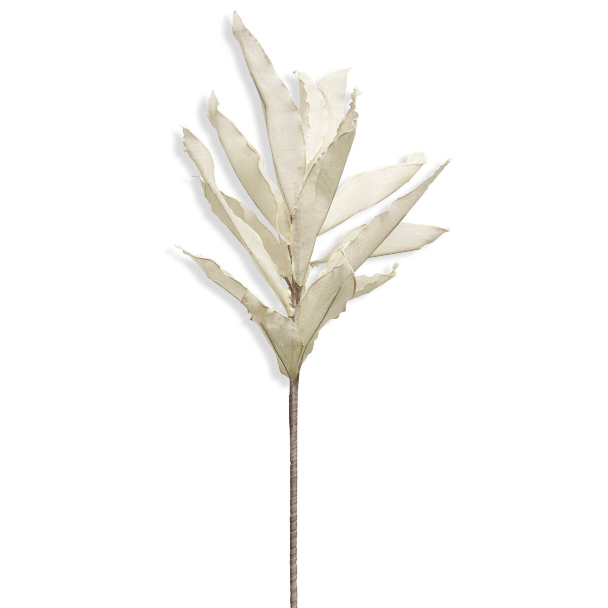 9b083ed07036e83640aa790c38cad90b Ruscus Stem | Flexible Wired Foam Floral - Image 1