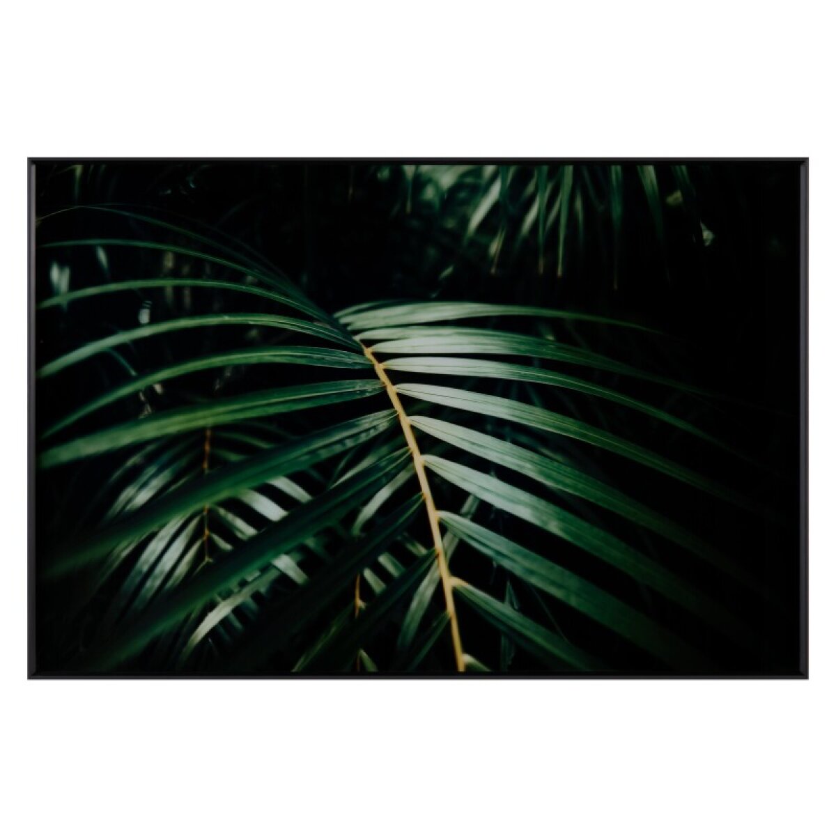9b34ec93f0677012e59b7a851cc6dd82 Safari Leaves 2 - Image 1