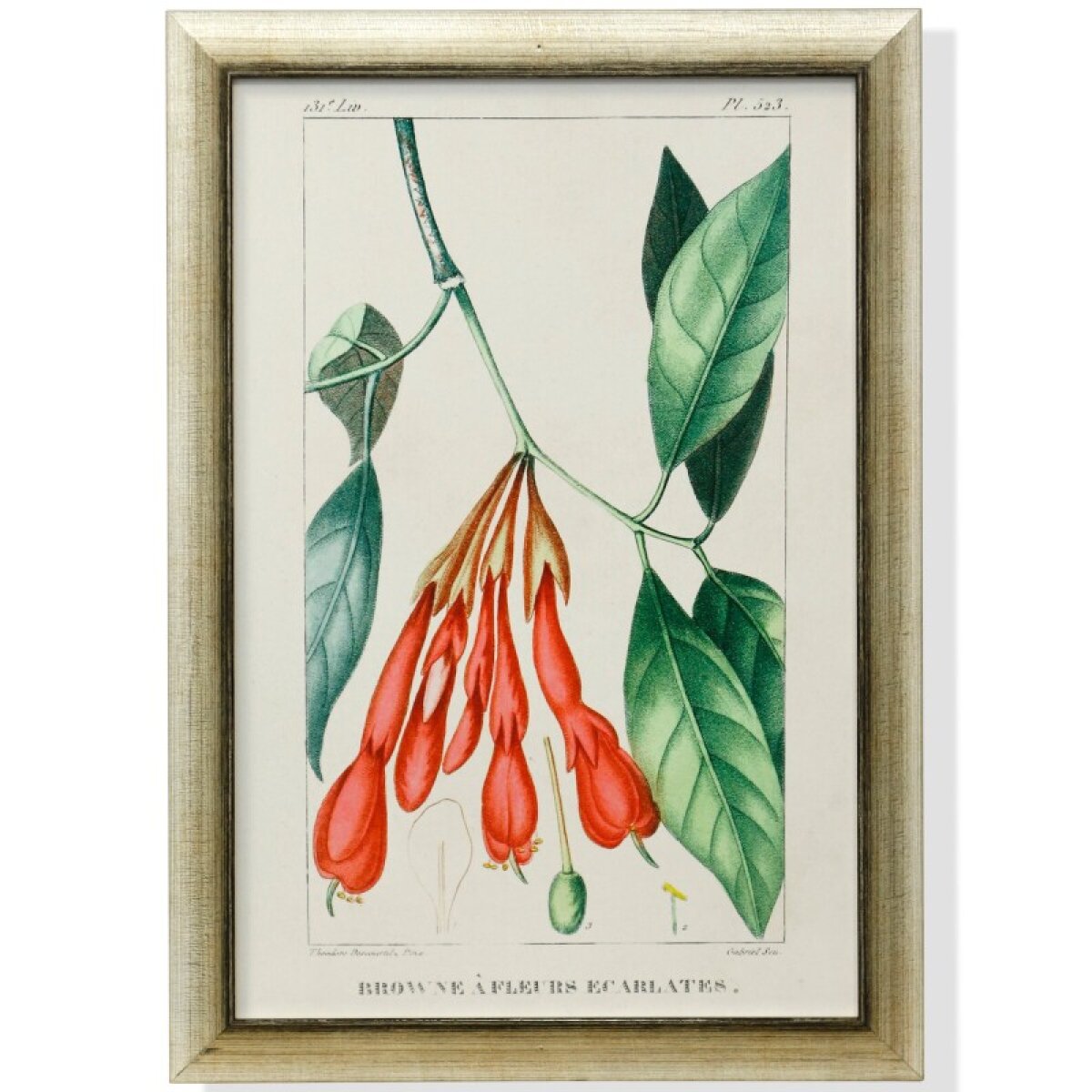 9b8e97d377d09eb42798fd5bbabc2956 Framed Print Under Glass - Image 1