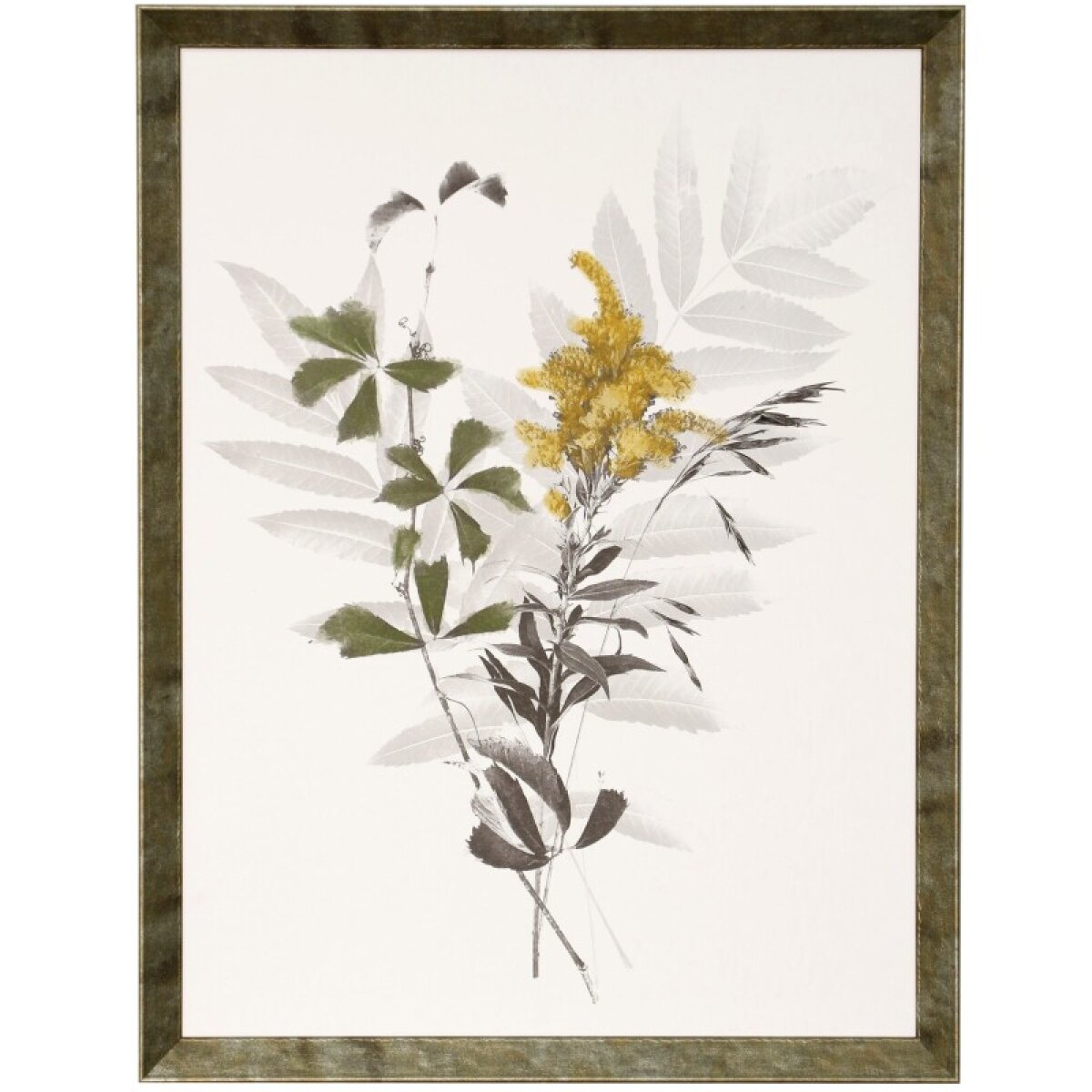 9d107b56a4fcb28660760ddc1dab3ddd Wild Foliage Natural Framed Print Under Glass - Image 1