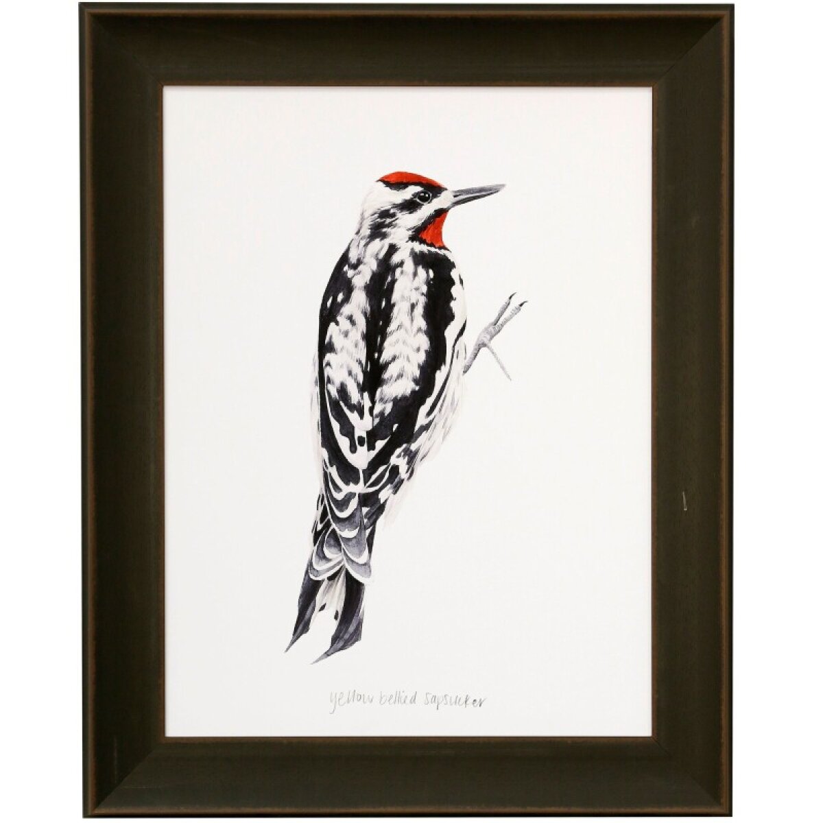 9f985f7054695c71e2df00188e767581 Woodpecker I Framed Print Under Glass - Image 1