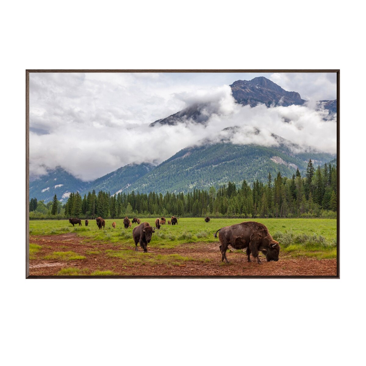 a03ec5d928a6e94d83f40fc3c6dcffd5 Bison Valley - Image 1