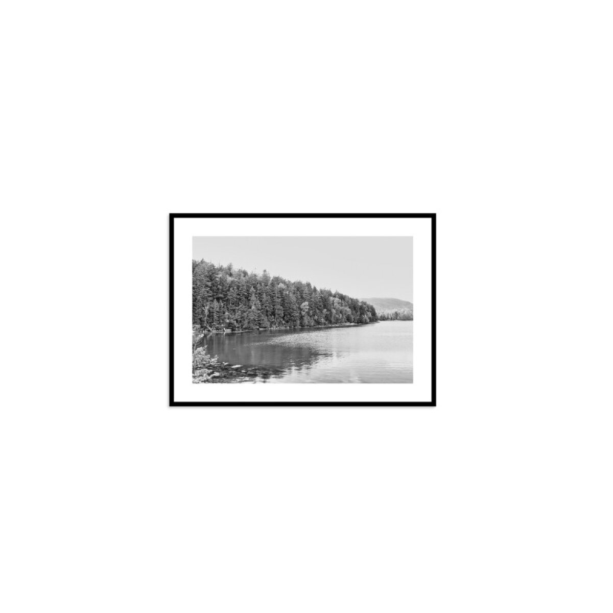 a1116b2fd6768f0da5897ac5f68e4292 Acadia Tree Line - Image 1