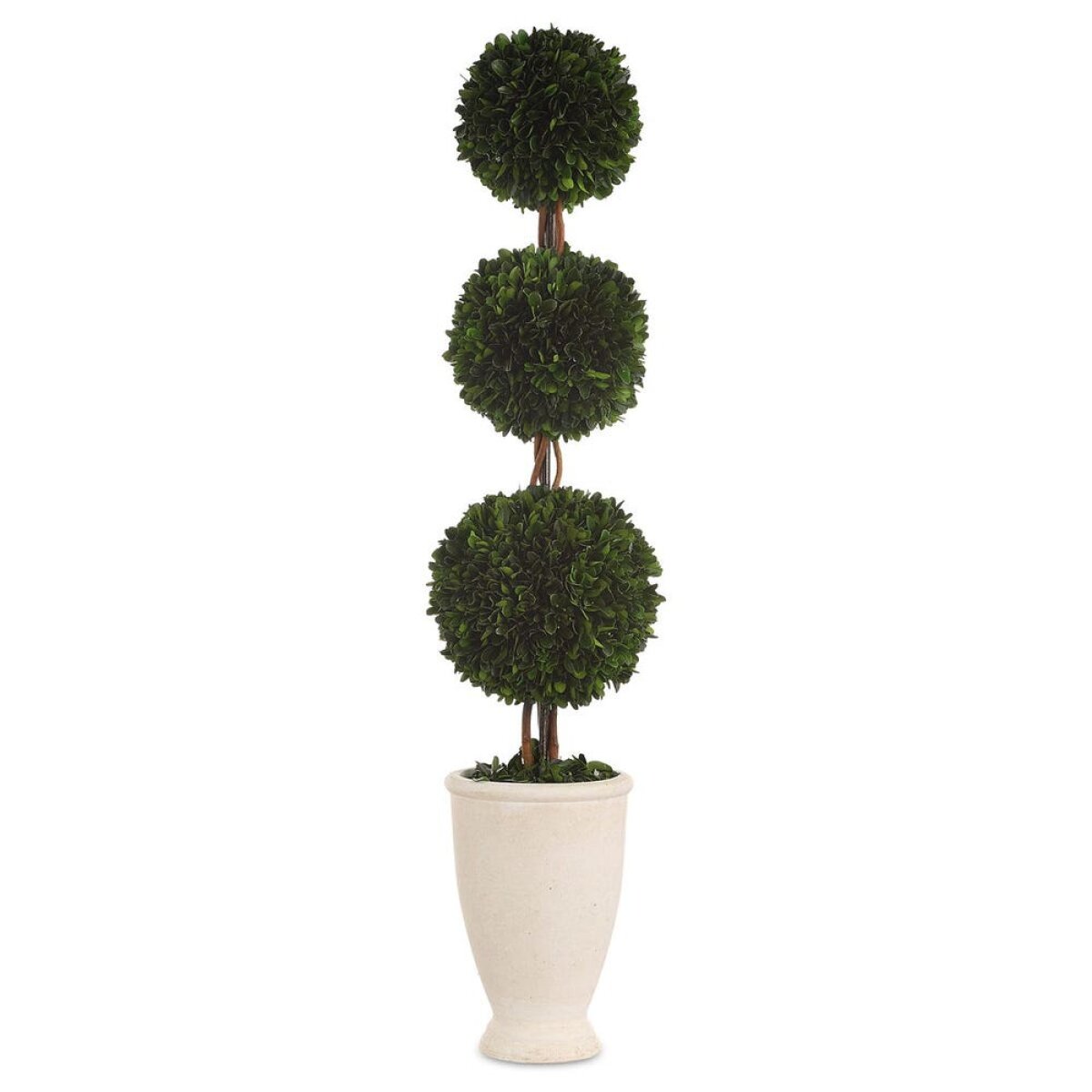a189918b885aeadc5a46f1e2913b4916 Preserved Boxwood Triple Topiary - Image 1