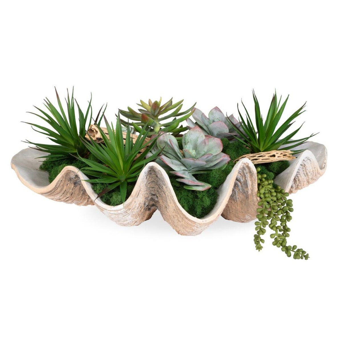 a220f0bc464395f0606da66b0a180539 Seaside Breeze Succulents - Image 1