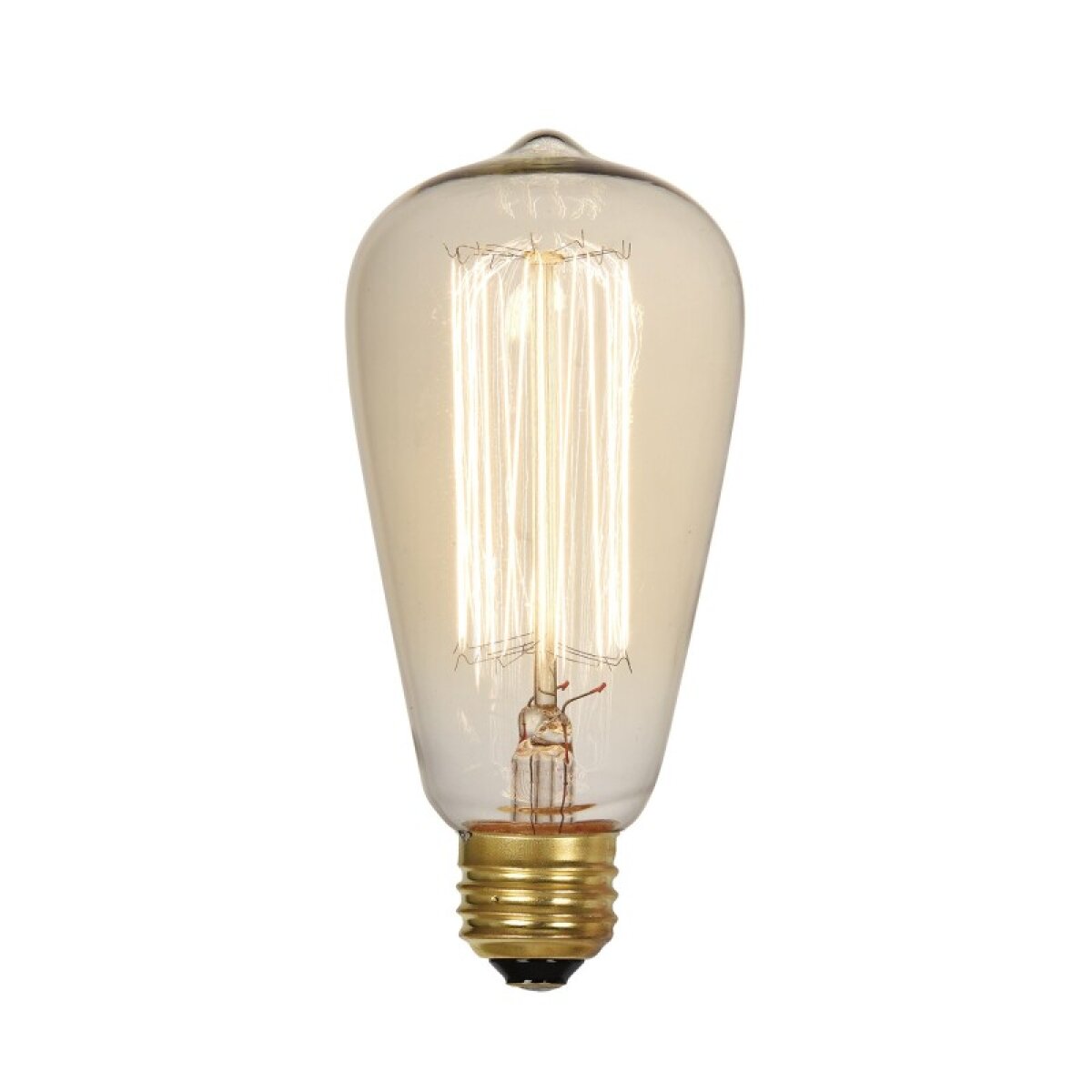 a4fc4570307f1fedbd37a89473dc7c65 Edison Bulb I - Image 1