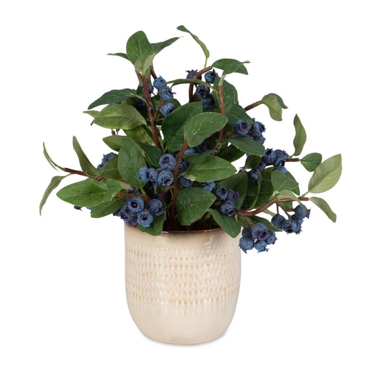 a57dc9a4adac5e432e0abcb36de85c43 Blueberry Fields Accent - Image 1