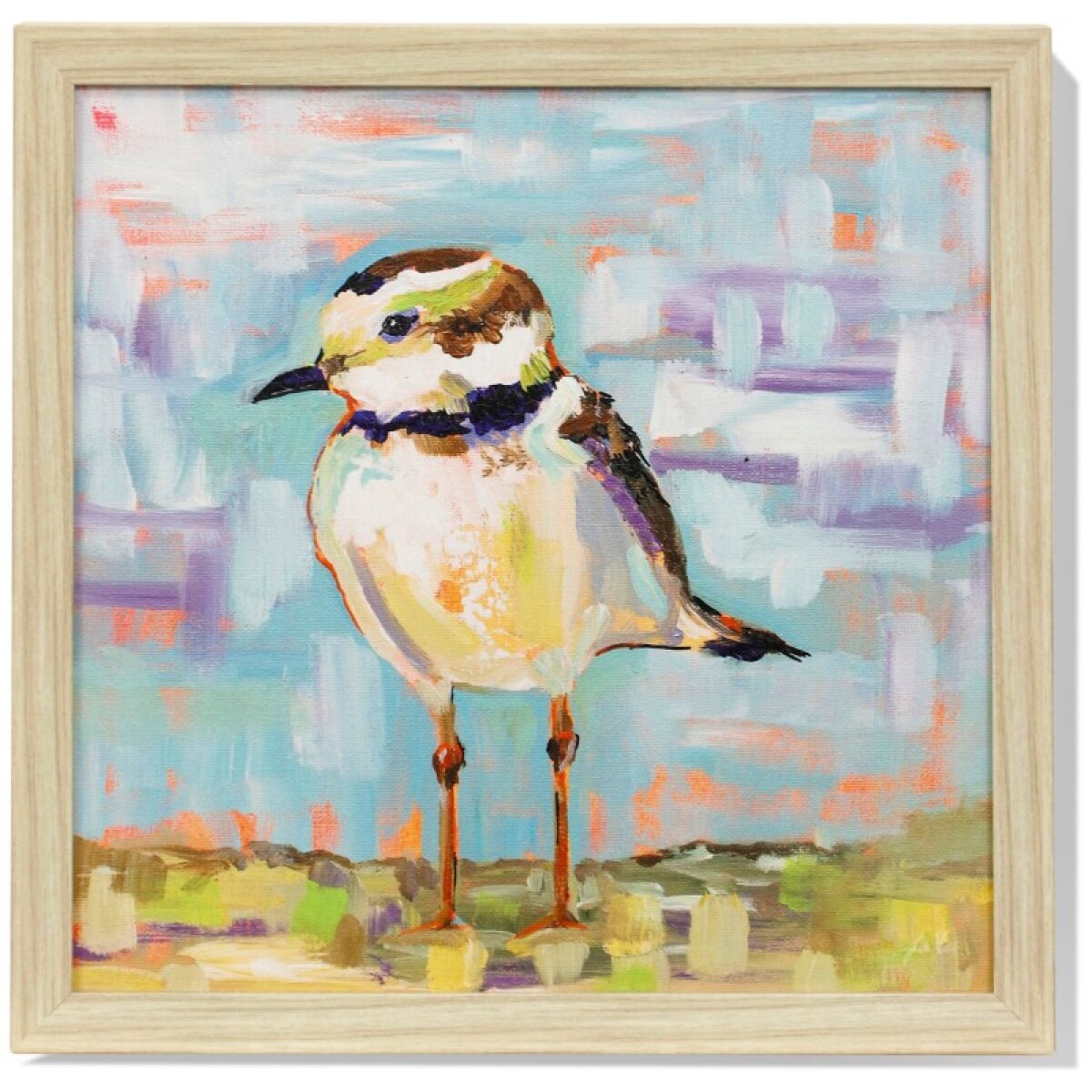 a60164594d6df43a07b60ea0ec62b3d6 Coastal Plover I Textured Framed Print - Image 1