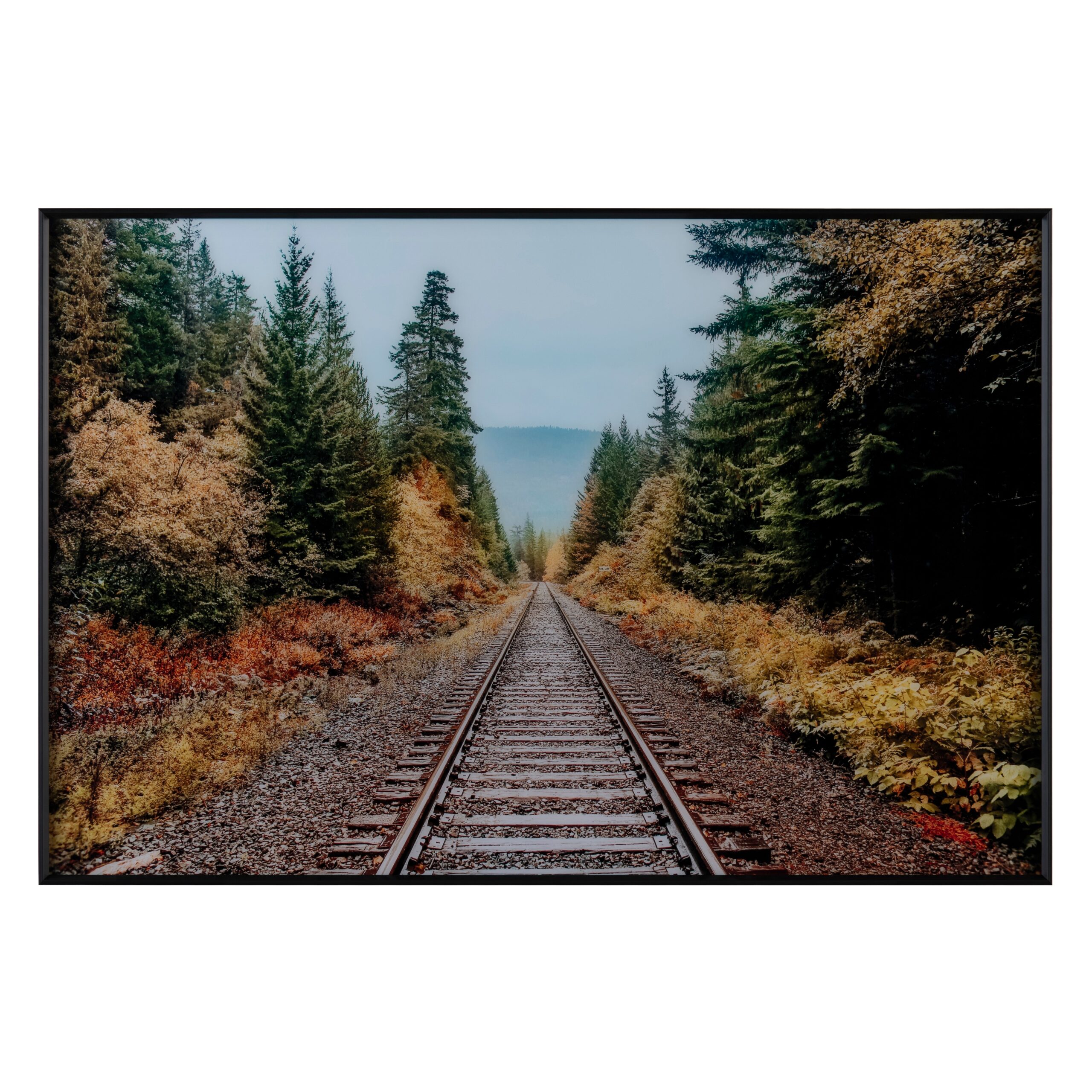 a71736bf9539b8a42421bd1cb369e9d7 Autumn Tracks - Image 1