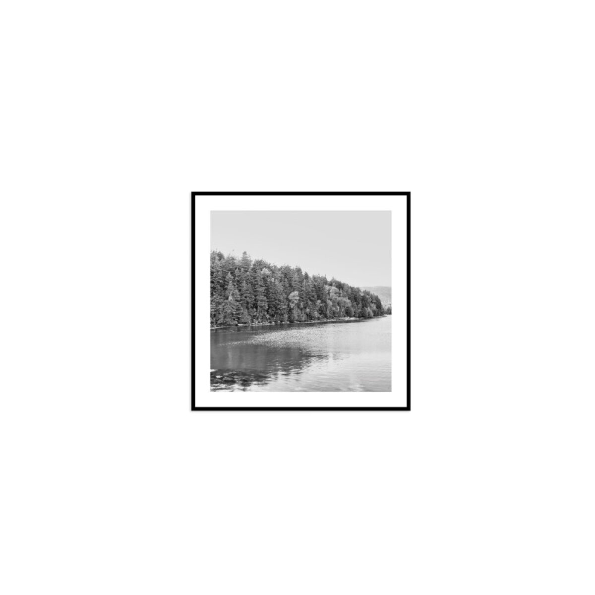 a857fbdee0a790c328f187ae9a06563c Acadia Tree Line - Image 1