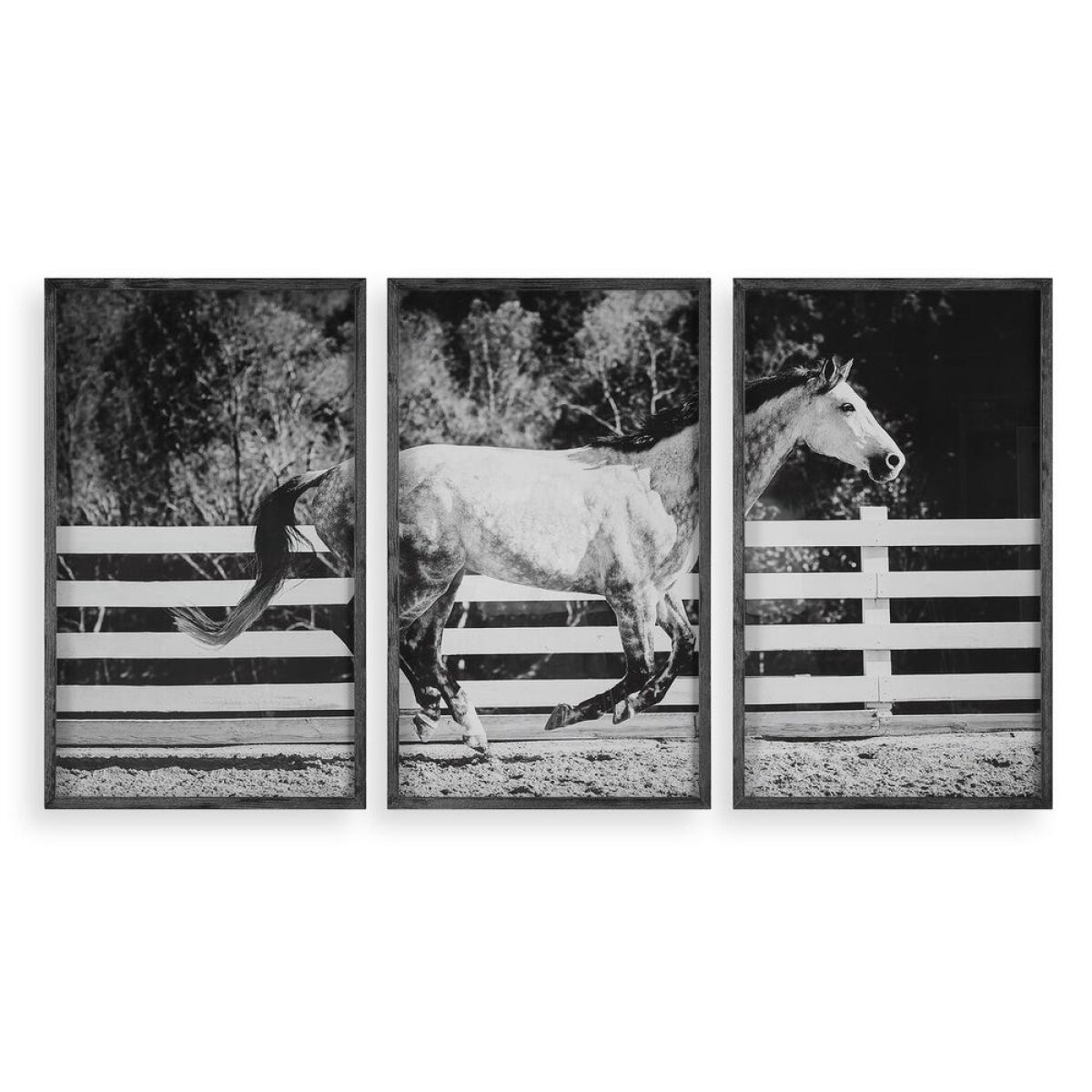 aa6025c4fb7d9ff0ffeb2fdf1898a134 Galloping Forward Framed Prints, S/3 - Image 1