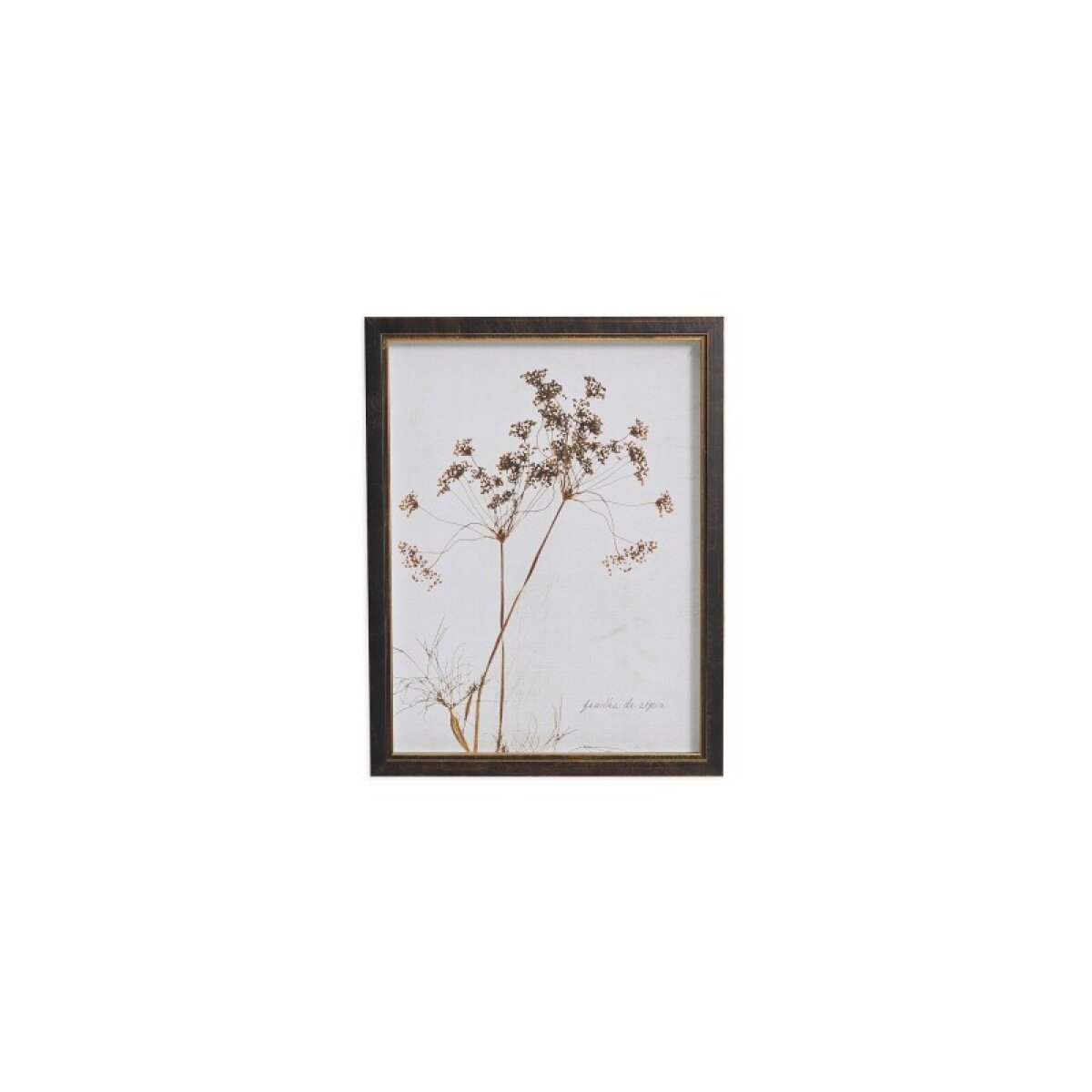 b162c86dd953af3ba64bed71d738baf1 Sepia Queen Anne's Lace - Image 1