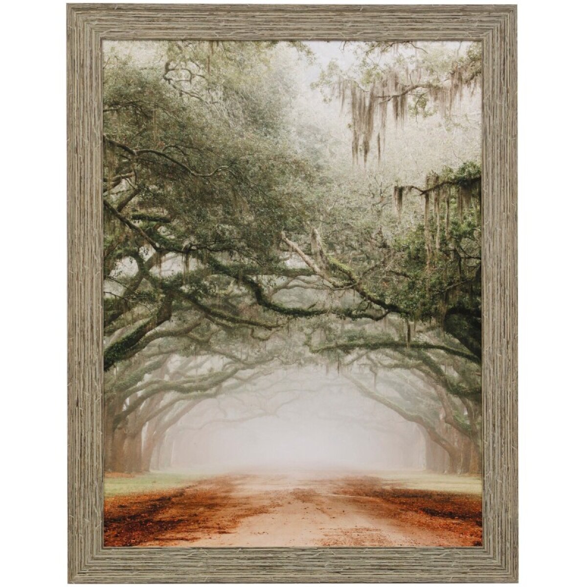 b4afabaca07be9b421bbc62e6ff57339 Plantation Drive Framed Print Under Glass - Image 1