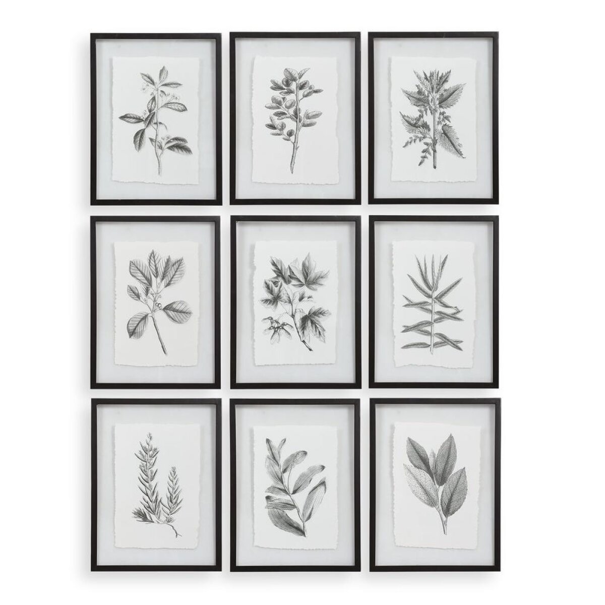 b8c42494309a4472ad47e5039fd9eafa Farmhouse Florals Framed Prints, S/9 3 Cartons - Image 1