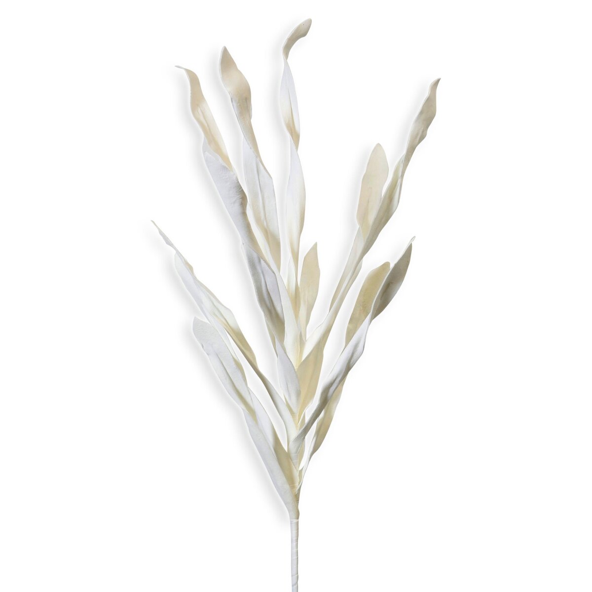 be30010b06a039c2727db38f18411b9a White Reed Stem | Flexible Wired Foam Floral - Image 1