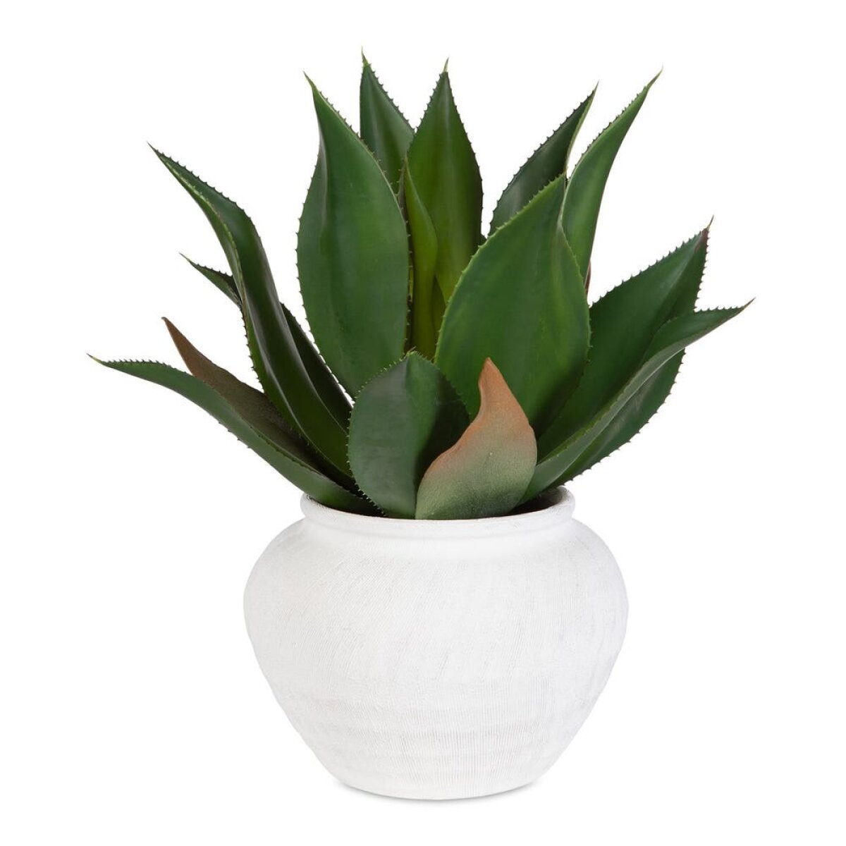 be876a4d4eb8bb1e10e152a5374c4e80 Tierra Agave Centerpiece - Image 1