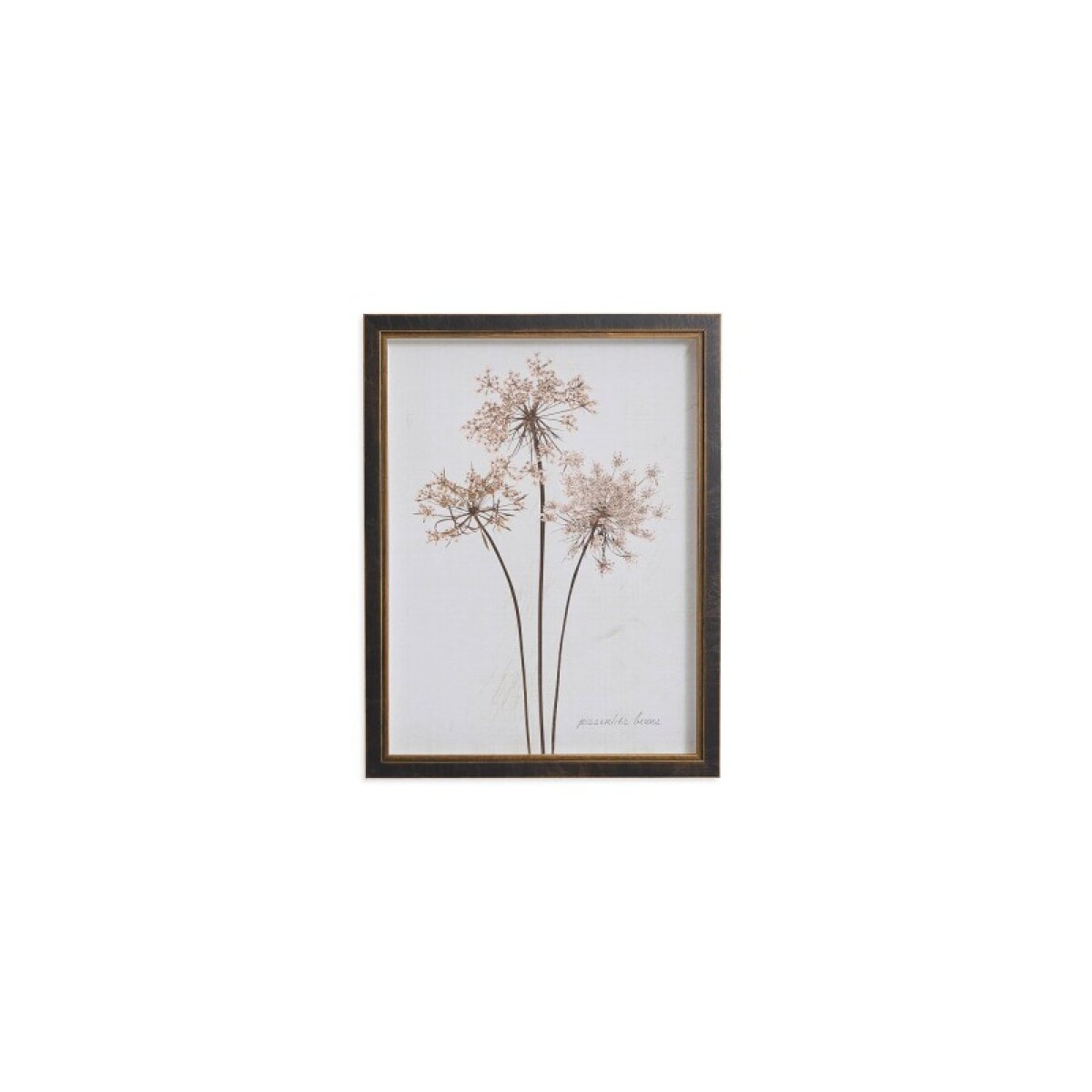 c1de155148c070d85758a46e558cacb3 Sepia Pressed Dandelions - Image 1