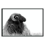 Horn Photography 48x72