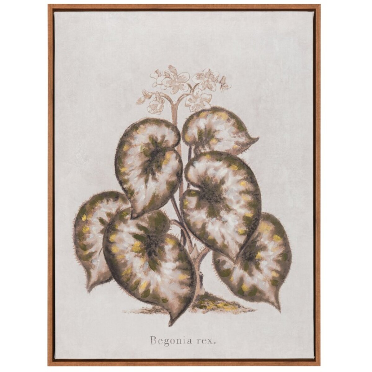 c3e924401d6a961b73215b2bb9878f53 Brown & Green Floral Handpainted Canvas Art - Image 1