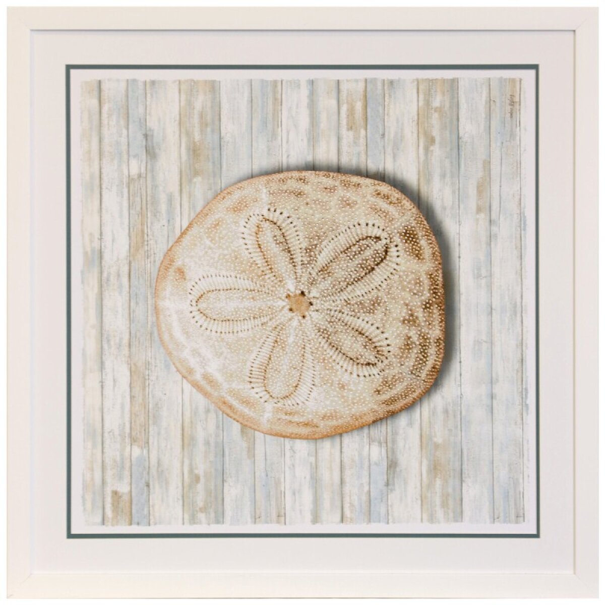 c48c53991b1e69f0aca83c255b542687 Seashells Iii Framed Print Under Glass - Image 1