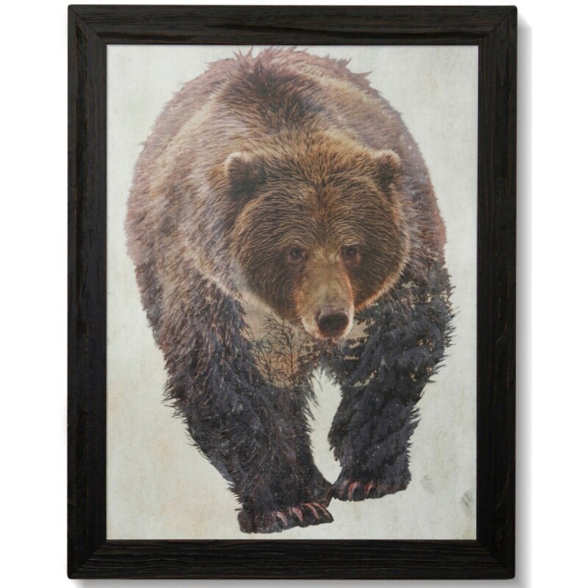 c4f56ee120480bd59b6495444aeb1ae9 Brown Bear Walking Textured Framed Print - Image 1