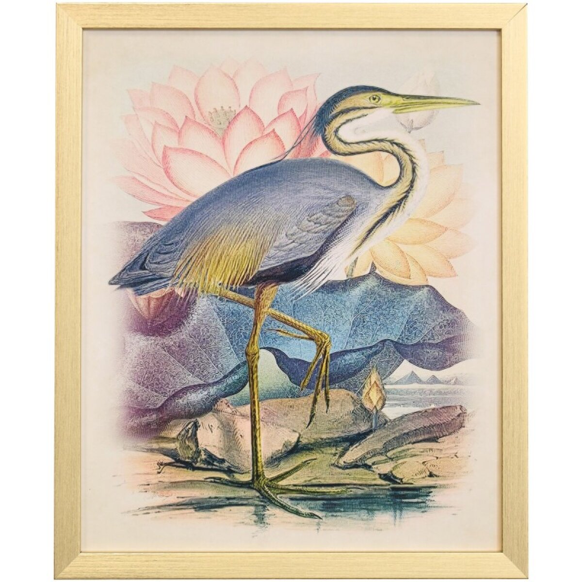 c5b05063de39673156b06251b3b9c7c7 Naturalist Archive X Tamara Day For Stylecraft Framed Print Under Glass - Image 1