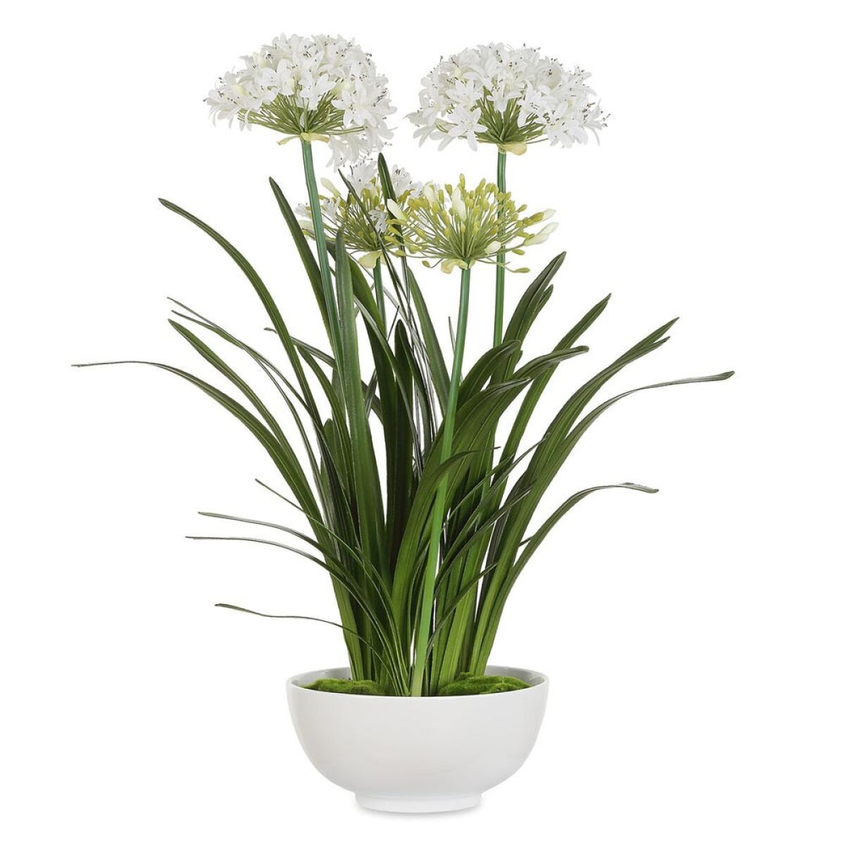 c63975a51fa3b4c95627f4c7e28be7e4 Purity Agapanthus Centerpiece - Image 1