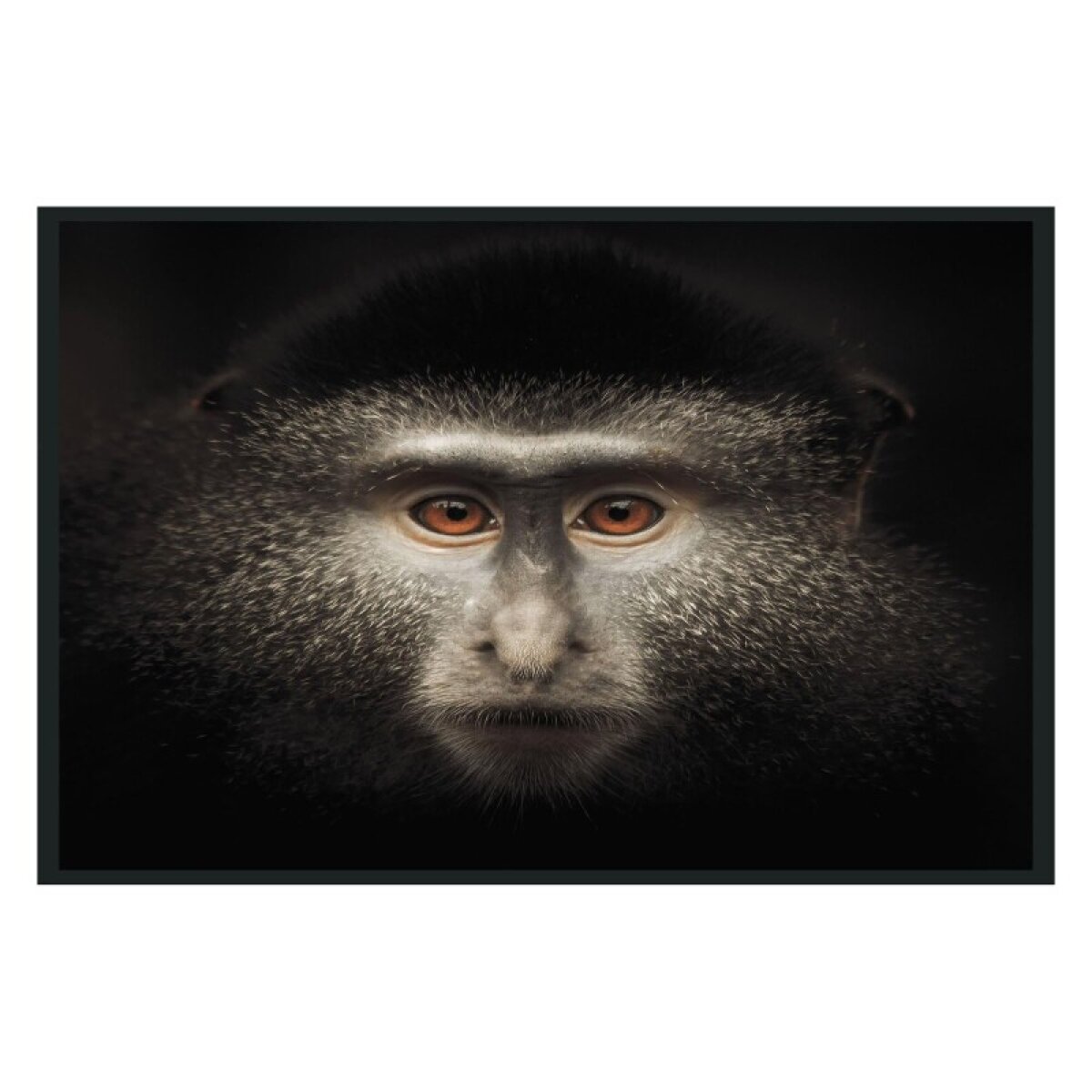 c7e0d0452c41f2416c2bb2fc9108f990 Monkey Photography 48x72 - Image 1