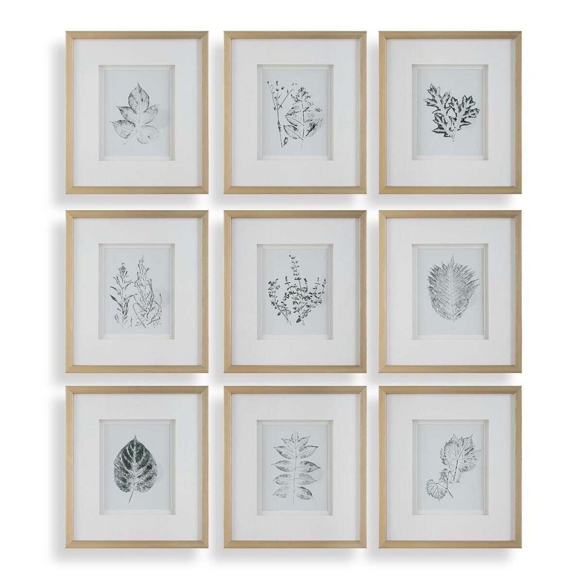 c97588ed2f0df5dbb60edc37a5d6a236 Nature's Script Framed Prints, S/9 - Image 1