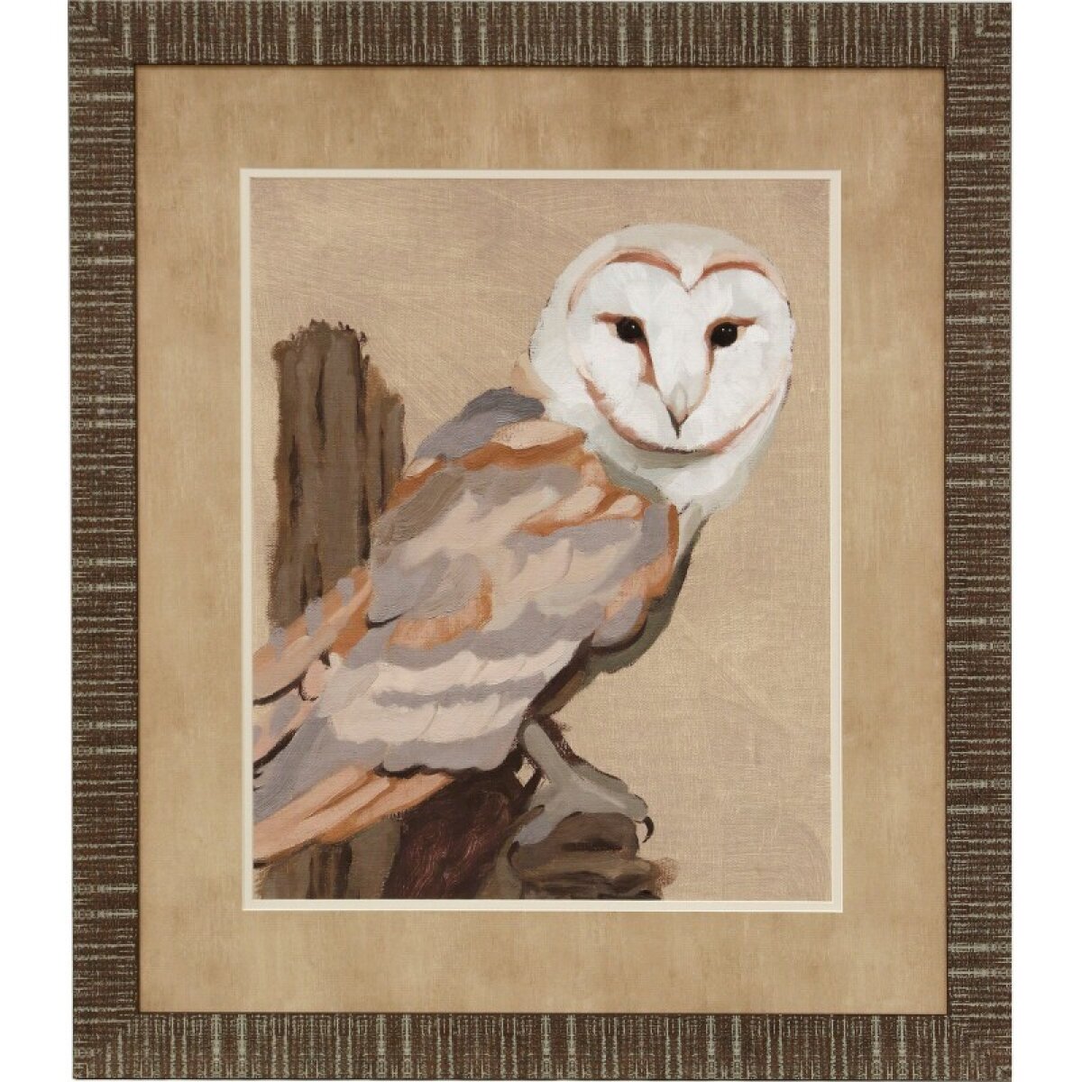 ca067b1345a6798c43ecd60be8b8d46e Common Barn Owl I Framed Print Under Glass - Image 1